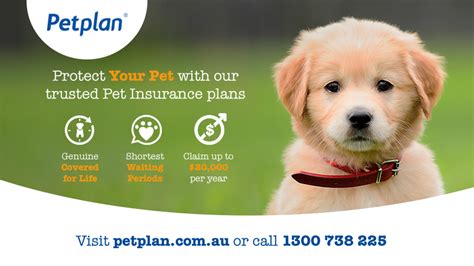 petplan pet insurance phone number.